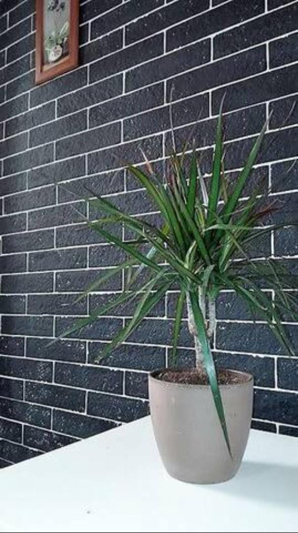 Ckbsm Athens Center Apartment 2 Ngoại thất bức ảnh